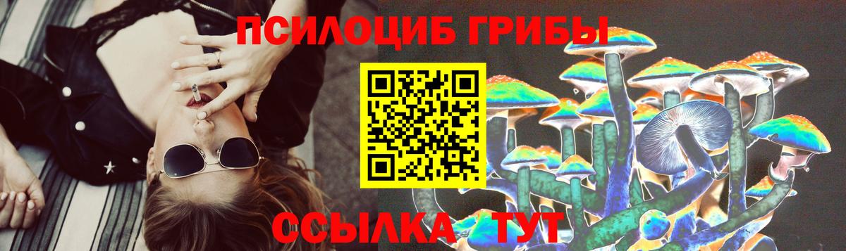 Родники  Галлюциногенные грибы MAGIC MUSHROOMS  Вход с VPN  Псилоцибиновые грибы GOLDEN TEACHER 
