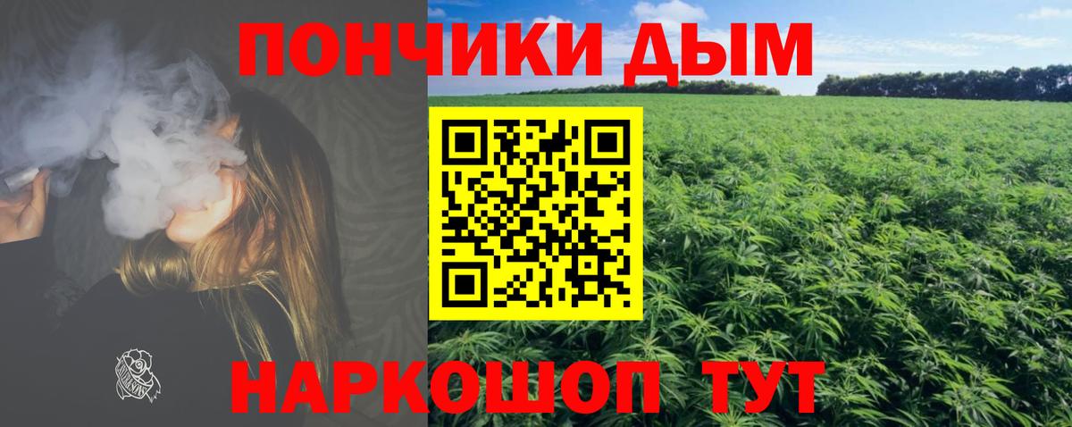 Бошки Шишки индика Родники